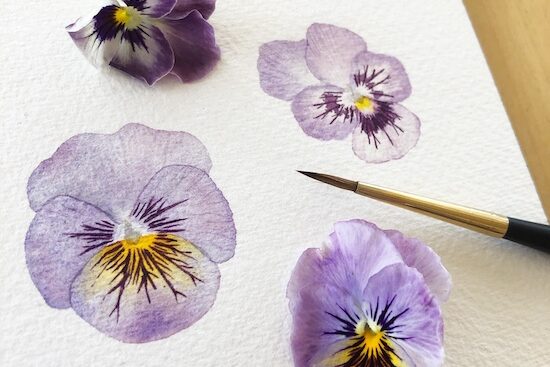 Watercolor: Details of Nature
