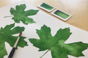 watercolor