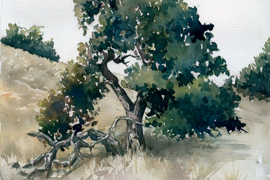 Berkeley Sketch & Watercolor Pad