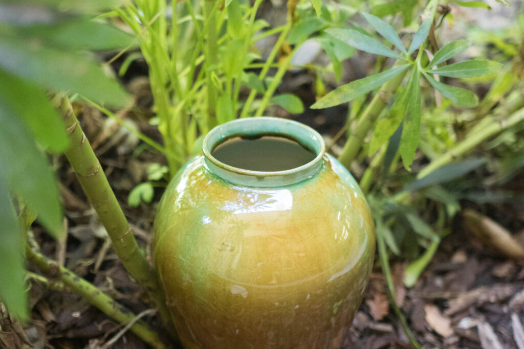 Ceramics Focus: Planters