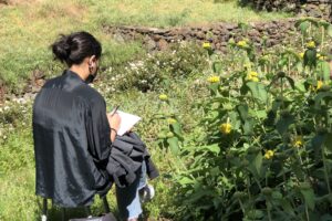 Sketching Outdoors on Campus