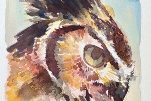 watercolor bird