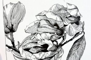 pen and ink