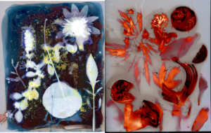 alternative photo darkroom