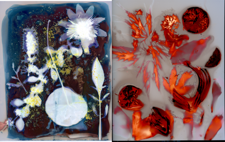 alternative photo darkroom