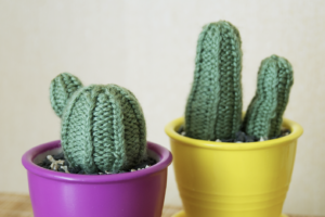 knit cacti