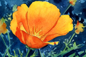 watercolor