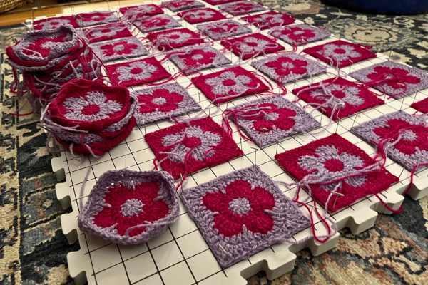 daisy squares wip